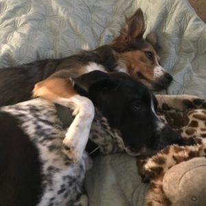 Meet your Posher, Megan